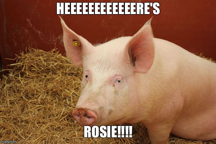 HEEEEEEEEEEEERE'S ROSIE!!!! | made w/ Imgflip meme maker
