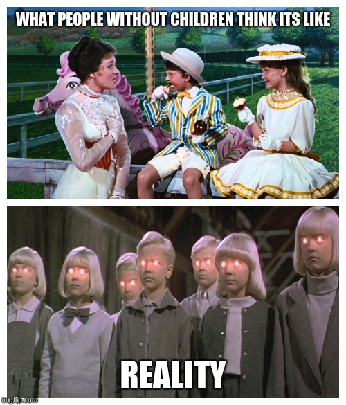 WHAT PEOPLE WITHOUT CHILDREN THINK ITS LIKE; REALITY | image tagged in expectation vs reality,real world,funny memes,parenting | made w/ Imgflip meme maker