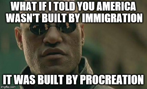 Matrix Morpheus Meme | WHAT IF I TOLD YOU AMERICA WASN'T BUILT BY IMMIGRATION; IT WAS BUILT BY PROCREATION | image tagged in memes,matrix morpheus | made w/ Imgflip meme maker