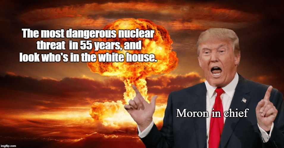 Moron in chief | The most dangerous nuclear threat  in 55 years, and look who's in the white house. Moron in chief | image tagged in trump,iran,north korea,nukes | made w/ Imgflip meme maker