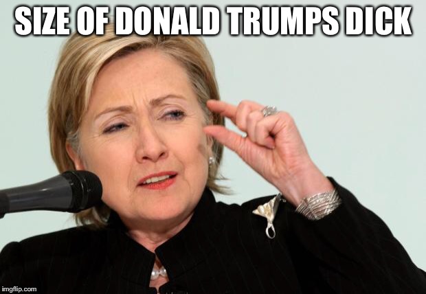 Hillary Clinton Fingers | SIZE OF DONALD TRUMPS DICK | image tagged in hillary clinton fingers | made w/ Imgflip meme maker