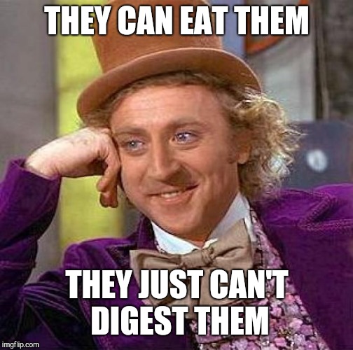 Creepy Condescending Wonka Meme | THEY CAN EAT THEM THEY JUST CAN'T DIGEST THEM | image tagged in memes,creepy condescending wonka | made w/ Imgflip meme maker