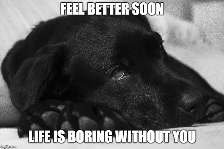 FEEL BETTER SOON; LIFE IS BORING WITHOUT YOU | made w/ Imgflip meme maker