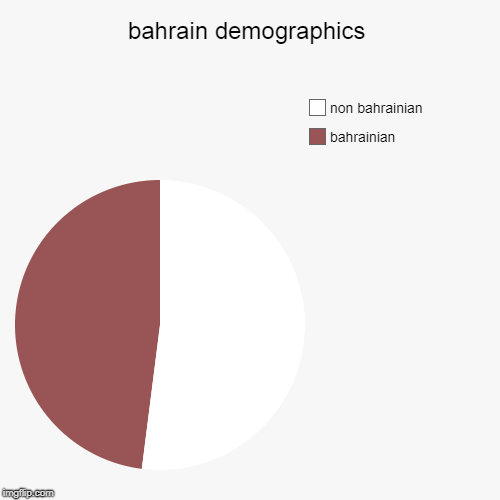 bahrain demographics | bahrainian, non bahrainian | image tagged in pie charts | made w/ Imgflip chart maker