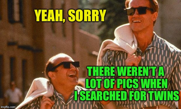 twins | YEAH, SORRY THERE WEREN’T A LOT OF PICS WHEN I SEARCHED FOR TWINS | image tagged in twins | made w/ Imgflip meme maker