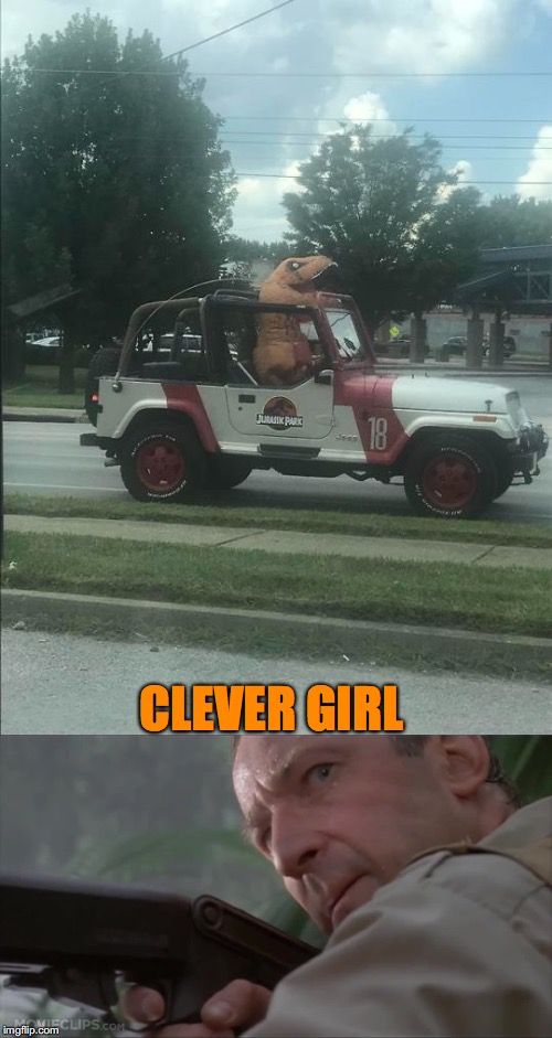 They Were Smart --- Really! |  CLEVER GIRL | image tagged in jurassic park,clever girl,t-rex | made w/ Imgflip meme maker