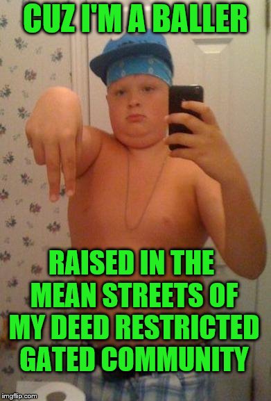 Don't let the Cookie Monster hat fool ya, sucka | CUZ I'M A BALLER; RAISED IN THE MEAN STREETS OF MY DEED RESTRICTED GATED COMMUNITY | image tagged in suburban gangster,memes,deed restricted,gated community,baller | made w/ Imgflip meme maker