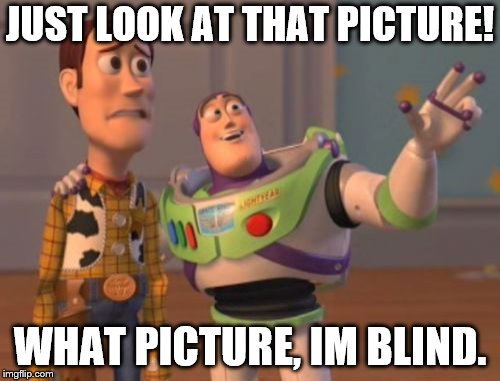 X, X Everywhere Meme | JUST LOOK AT THAT PICTURE! WHAT PICTURE, IM BLIND. | image tagged in memes,x x everywhere | made w/ Imgflip meme maker
