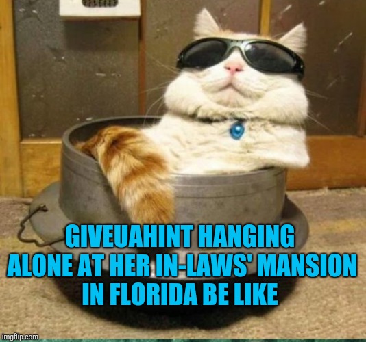 giveuahint's having to rough it with a fancy house, pool, and hot tub all to herself lol. And thanks to her for the template  | GIVEUAHINT HANGING ALONE AT HER IN-LAWS' MANSION IN FLORIDA BE LIKE | image tagged in giveuahint,jbmemegeek,memes,cats,funny cats | made w/ Imgflip meme maker