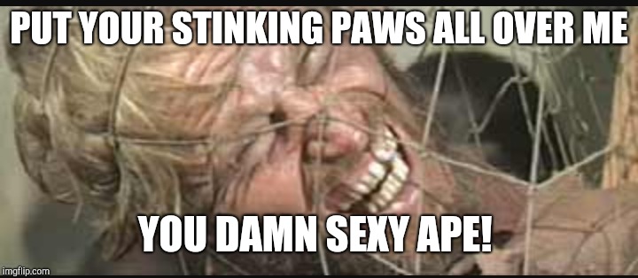 PUT YOUR STINKING PAWS ALL OVER ME YOU DAMN SEXY APE! | made w/ Imgflip meme maker