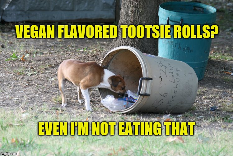 No thanks, I'm good | VEGAN FLAVORED TOOTSIE ROLLS? EVEN I'M NOT EATING THAT | image tagged in memes,vegans,tootsie rolls,no thanks | made w/ Imgflip meme maker