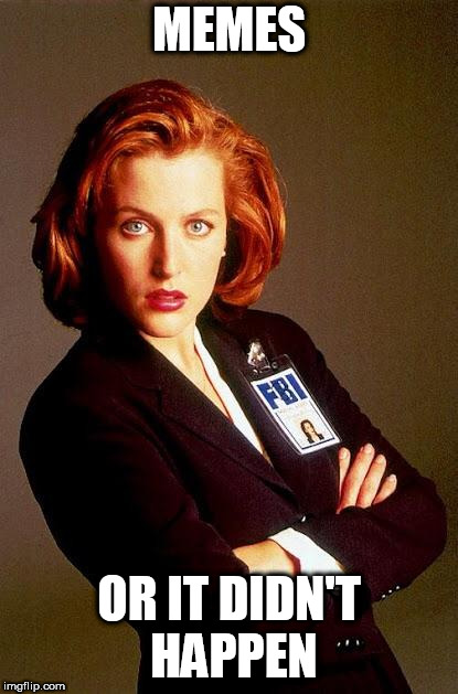 Scully | MEMES OR IT DIDN'T HAPPEN | image tagged in scully | made w/ Imgflip meme maker