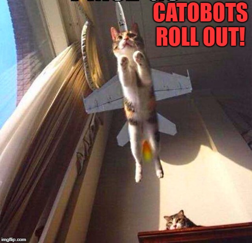 Roll out! | CATOBOTS ROLL OUT! | image tagged in catobot,roll out,funny | made w/ Imgflip meme maker