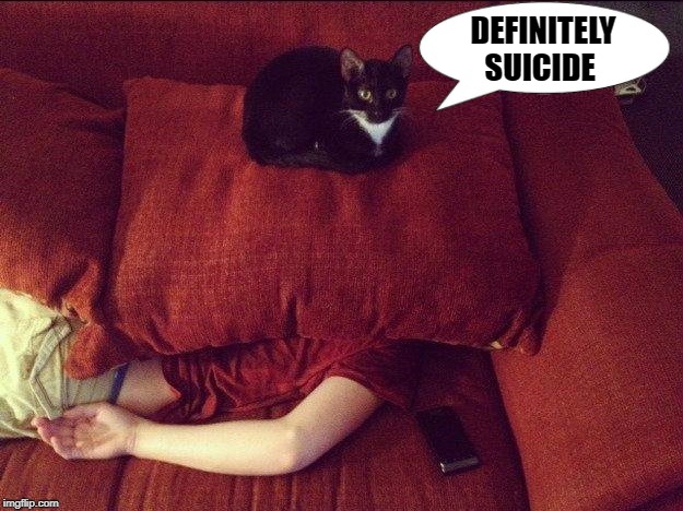 cat investigation  | DEFINITELY SUICIDE | image tagged in suicide,cat | made w/ Imgflip meme maker