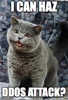 I can has cheezburger cat | I CAN HAZ; DDOS ATTACK? | image tagged in i can has cheezburger cat | made w/ Imgflip meme maker