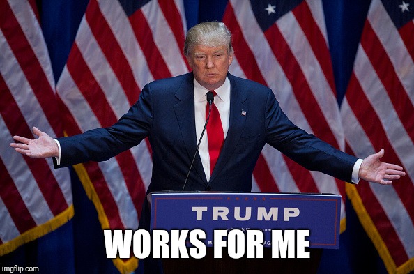 Donald Trump | WORKS FOR ME | image tagged in donald trump | made w/ Imgflip meme maker