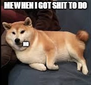 me when i got to do work | ME WHEN I GOT SHIT TO DO; NO | image tagged in doggos | made w/ Imgflip meme maker