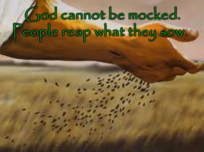Galatians 6:7 You Reap What You Sow | God cannot be mocked. People reap what they sow. | image tagged in bible,bibleverse,holy bible,holy spirit,god,verse | made w/ Imgflip meme maker