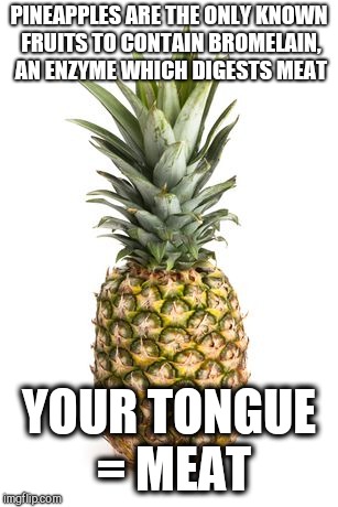 Why pineapples hurt your tongue | PINEAPPLES ARE THE ONLY KNOWN FRUITS TO CONTAIN BROMELAIN, AN ENZYME WHICH DIGESTS MEAT; YOUR TONGUE = MEAT | image tagged in pineapples,pineapple | made w/ Imgflip meme maker