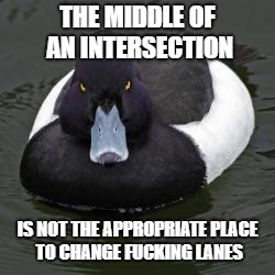 Angry Advice Mallard | THE MIDDLE OF AN INTERSECTION; IS NOT THE APPROPRIATE PLACE TO CHANGE FUCKING LANES | image tagged in angry advice mallard | made w/ Imgflip meme maker