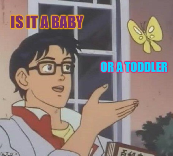 Is This A Pigeon Meme | IS IT A BABY OR A TODDLER | image tagged in memes,is this a pigeon | made w/ Imgflip meme maker