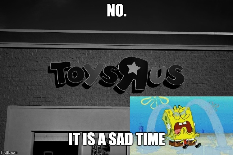 Toys r us | NO. IT IS A SAD TIME | image tagged in toys r us | made w/ Imgflip meme maker
