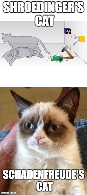 SHROEDINGER'S CAT SCHADENFREUDE'S CAT | made w/ Imgflip meme maker