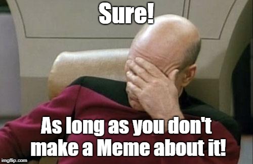 Captain Picard Facepalm Meme | Sure! As long as you don't make a Meme about it! | image tagged in memes,captain picard facepalm | made w/ Imgflip meme maker