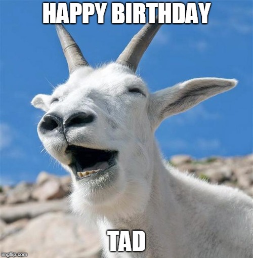 Laughing Goat Meme |  HAPPY BIRTHDAY; TAD | image tagged in memes,laughing goat | made w/ Imgflip meme maker
