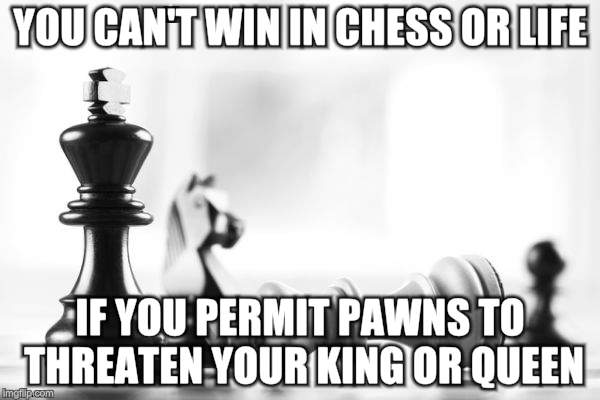 Knights need work too | YOU CAN'T WIN IN CHESS OR LIFE; IF YOU PERMIT PAWNS TO THREATEN YOUR KING OR QUEEN | image tagged in memes,chess,american politics | made w/ Imgflip meme maker