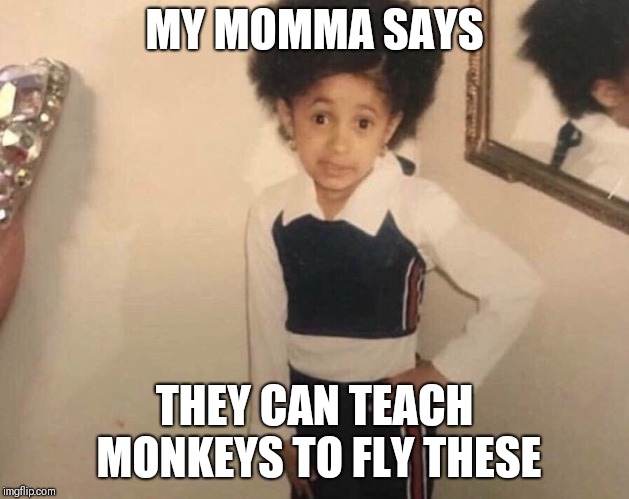 My Momma Said | MY MOMMA SAYS; THEY CAN TEACH MONKEYS TO FLY THESE | image tagged in my momma said | made w/ Imgflip meme maker