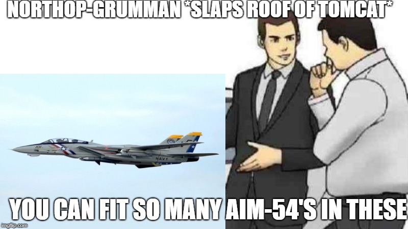 NORTHOP-GRUMMAN *SLAPS ROOF OF TOMCAT*; YOU CAN FIT SO MANY AIM-54'S IN THESE | made w/ Imgflip meme maker