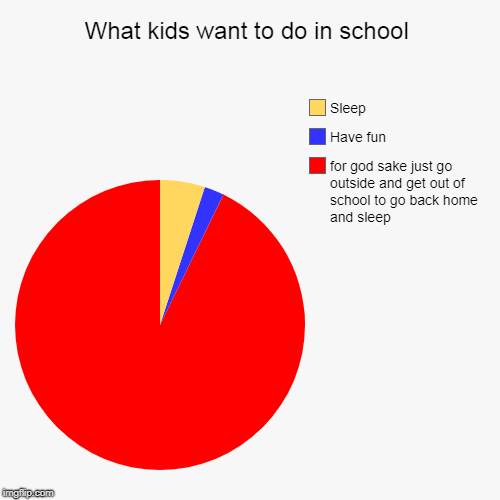 What kids want to do in school | for god sake just go outside and get out of school to go back home and sleep, Have fun, Sleep | image tagged in funny,pie charts | made w/ Imgflip chart maker