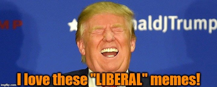 I love these "LIBERAL" memes! | made w/ Imgflip meme maker