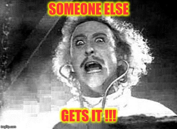 Dr. Frankenstein | SOMEONE ELSE GETS IT !!! | image tagged in dr frankenstein | made w/ Imgflip meme maker