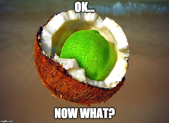 you put the |  OK... NOW WHAT? | image tagged in lime,in the,ok,now what | made w/ Imgflip meme maker