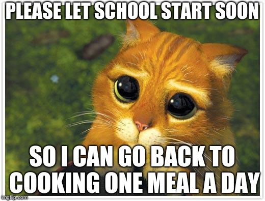 Shrek Cat Meme | PLEASE LET SCHOOL START SOON; SO I CAN GO BACK TO COOKING ONE MEAL A DAY | image tagged in memes,shrek cat | made w/ Imgflip meme maker