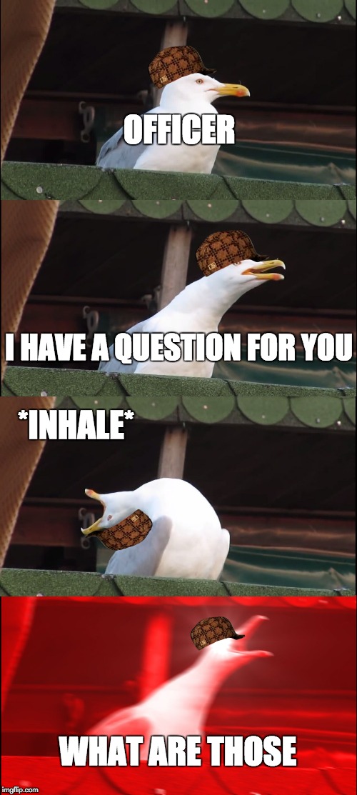 Officer...
 | OFFICER; I HAVE A QUESTION FOR YOU; *INHALE*; WHAT ARE THOSE | image tagged in memes,inhaling seagull,scumbag | made w/ Imgflip meme maker