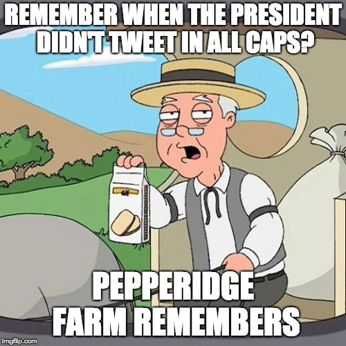 Pepperidge Farm Remembers Meme | REMEMBER WHEN THE PRESIDENT DIDN'T TWEET IN ALL CAPS? PEPPERIDGE FARM REMEMBERS | image tagged in memes,pepperidge farm remembers | made w/ Imgflip meme maker