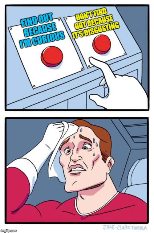 Two Buttons Meme | FIND OUT BECAUSE I'M CURIOUS DON'T FIND OUT BECAUSE IT'S DISGUSTING | image tagged in memes,two buttons | made w/ Imgflip meme maker