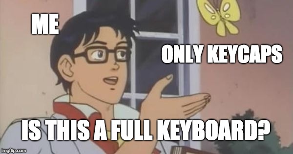 Is This a Pigeon | ME; ONLY KEYCAPS; IS THIS A FULL KEYBOARD? | image tagged in is this a pigeon | made w/ Imgflip meme maker