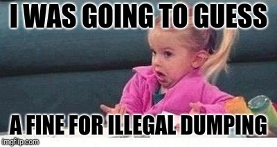 Shrugging kid | I WAS GOING TO GUESS A FINE FOR ILLEGAL DUMPING | image tagged in shrugging kid | made w/ Imgflip meme maker