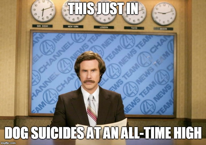 This just in | THIS JUST IN DOG SUICIDES AT AN ALL-TIME HIGH | image tagged in this just in | made w/ Imgflip meme maker