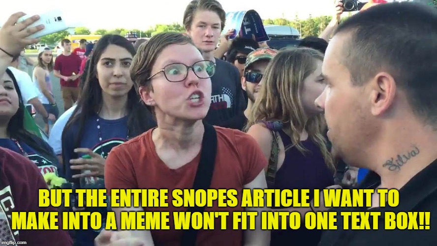 SJW lightbulb | BUT THE ENTIRE SNOPES ARTICLE I WANT TO MAKE INTO A MEME WON'T FIT INTO ONE TEXT BOX!! | image tagged in sjw lightbulb | made w/ Imgflip meme maker
