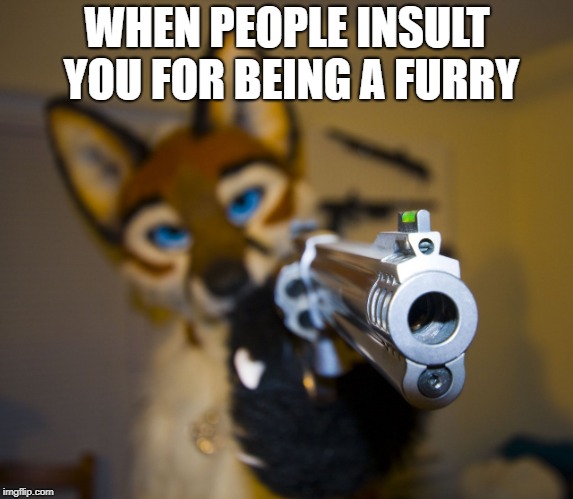 That's right, people. I'm a furry. soak it in. Though i don't have a fursuit just yet. | WHEN PEOPLE INSULT YOU FOR BEING A FURRY | image tagged in furry,furries | made w/ Imgflip meme maker