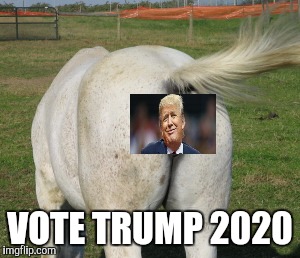 Vote trump | VOTE TRUMP 2020 | image tagged in trump 2020,donald trump | made w/ Imgflip meme maker