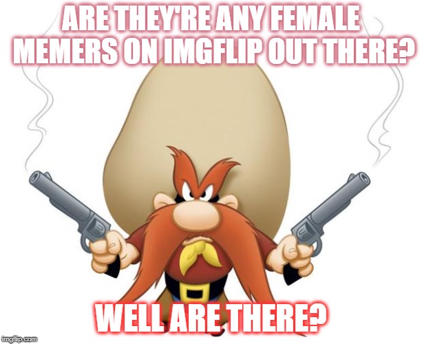 Yosemite Sam | ARE THEY'RE ANY FEMALE MEMERS ON IMGFLIP OUT THERE? WELL ARE THERE? | image tagged in yosemite sam,female memers | made w/ Imgflip meme maker