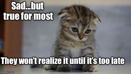 Sad kitten | Sad...but true for most They won’t realize it until it’s too late | image tagged in sad kitten | made w/ Imgflip meme maker