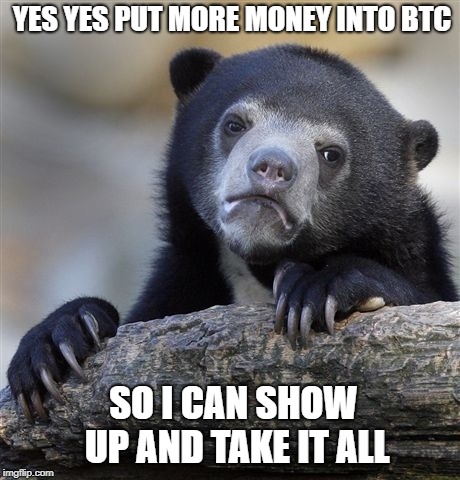 Confession Bear Meme | YES YES PUT MORE MONEY INTO BTC; SO I CAN SHOW UP AND TAKE IT ALL | image tagged in memes,confession bear | made w/ Imgflip meme maker
