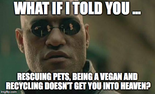 heaven requirements | WHAT IF I TOLD YOU ... RESCUING PETS, BEING A VEGAN AND RECYCLING DOESN'T GET YOU INTO HEAVEN? | image tagged in memes,matrix morpheus,vegans,recycling,pets | made w/ Imgflip meme maker